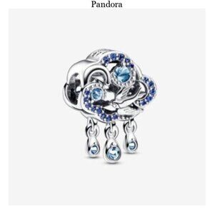 Pandora Cloud & Swallow Charm